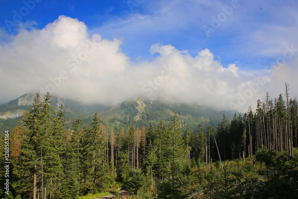 Fototapeta Пейзаж с видом на горя. Закопане. Польша