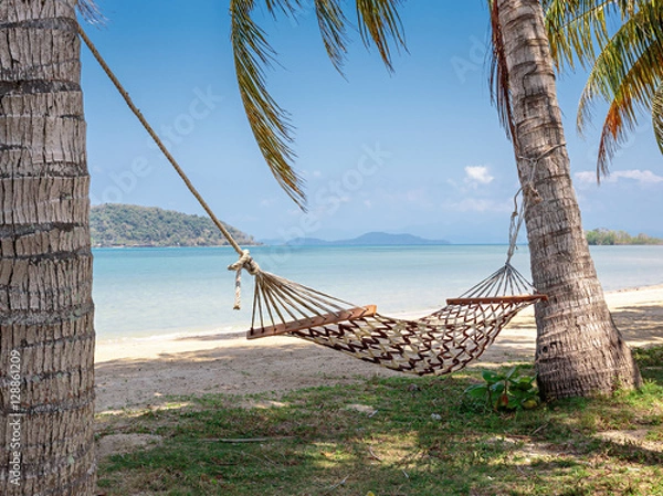 Fototapeta Hammock in the shade of palm trees