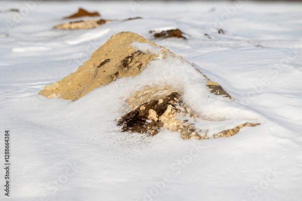 Fototapeta A rock covered in snow sits on a snowy field