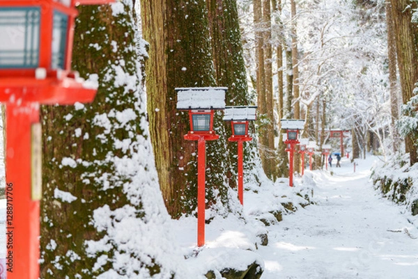 Fototapeta 雪に包まれた神社の参道と灯篭、静寂な冬の風景
A Snow-Covered Shrine Path and Lanterns, A Serene Winter Scene