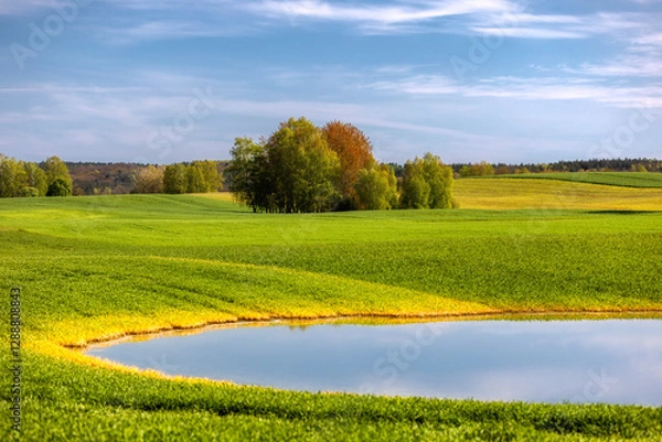 Obraz Wiosna na polu