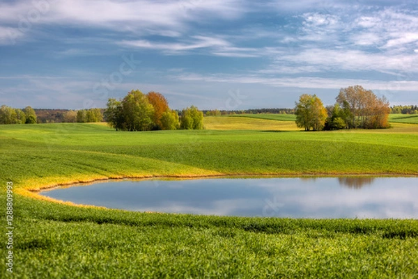 Obraz Wiosna na polu