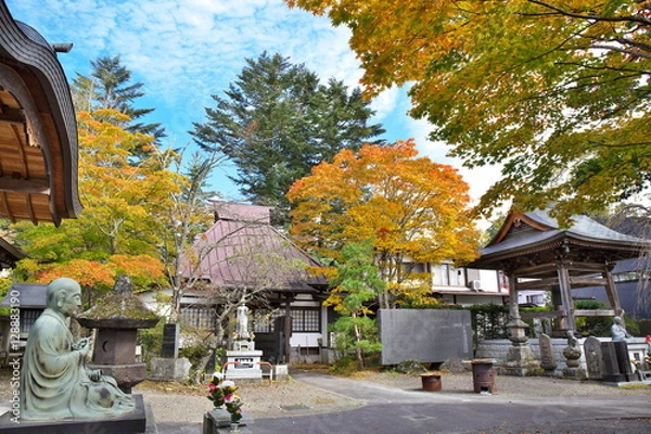 Fototapeta 秋のお寺
