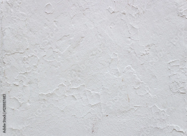 Obraz White background gray old plaster