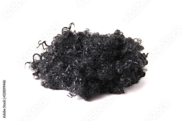 Obraz Wig
