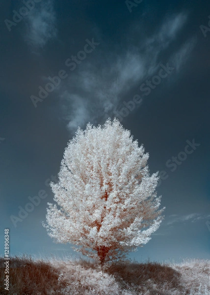 Fototapeta infrared landscape