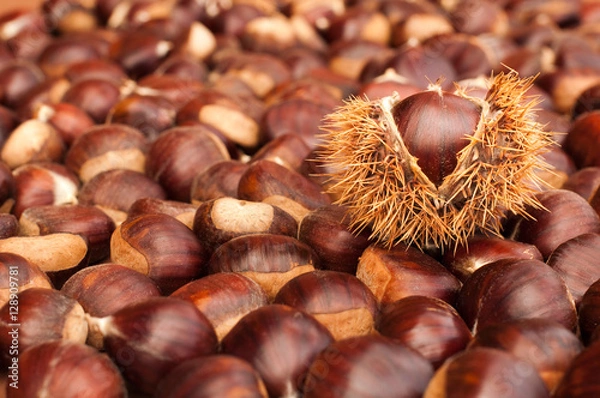 Fototapeta Chestnuts