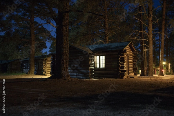 Obraz cabin in the woods