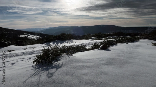 Obraz Montaña nevada