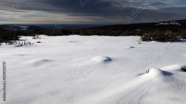 Obraz Montaña nevada