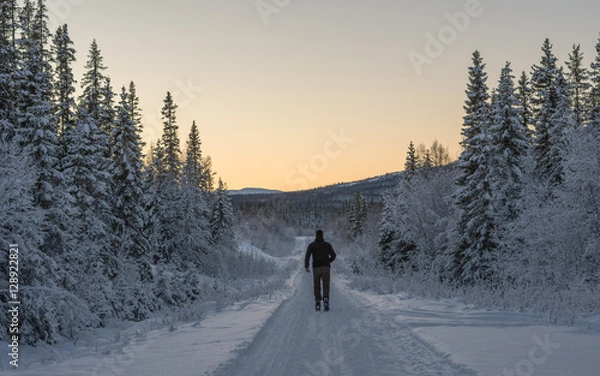 Fototapeta Man running on skis  into peaceful sunset in the snow covered forest