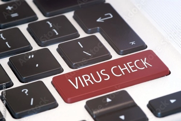 Obraz Virus Check Button