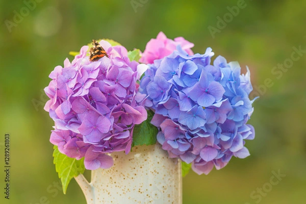Fototapeta Happy mothers day concept; Bouquet of pink, blue and purple hydrangea flowers in vase on a table on green natural background
