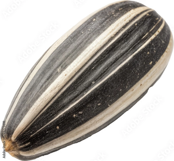 Obraz Delightful Sunflower Seed