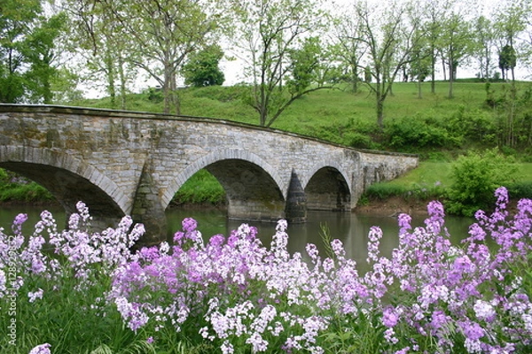 Obraz Antietam Bridge