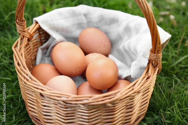 Fototapeta Raw eggs in basket on green grass background