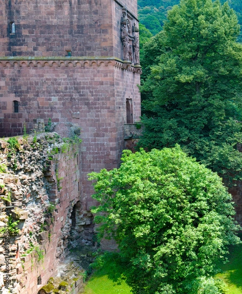 Fototapeta An ancient, partially ruined brick structure from Heidelberg Castle in Germany, with large arched windows framed by weathered stone