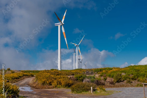 Fototapeta Wind turbines, partly hidden in the clouds on the plateu Paul da Serra in Madeira, Portugal.