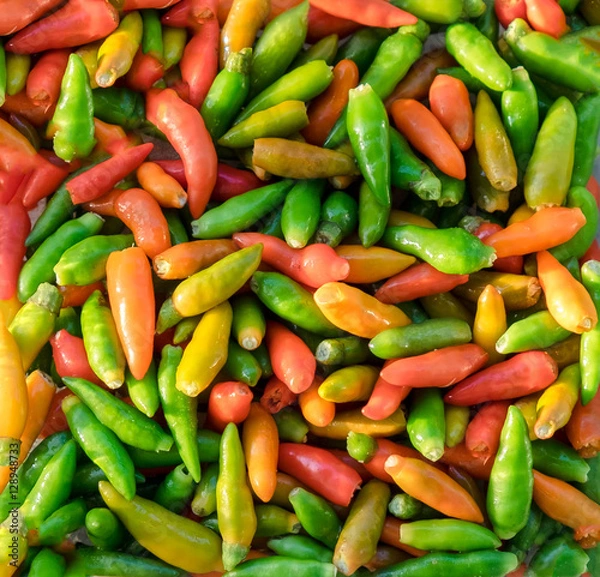 Obraz Hot chilis ingredient food colorful background