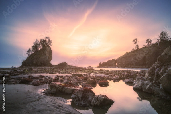 Obraz sea stack in sunset time in second beach,Washington,usa.