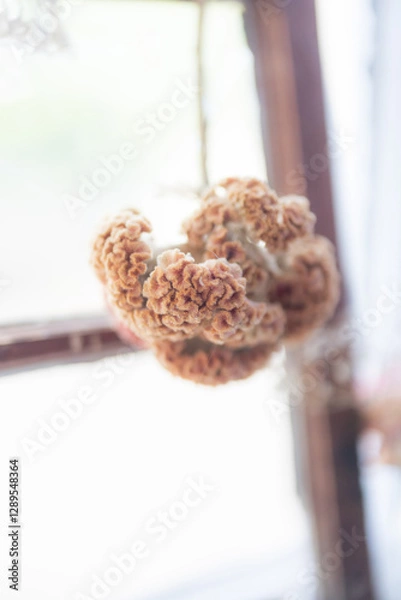 Fototapeta Decorative dried flowers in a window, orange natural decor, plant decorations in a home