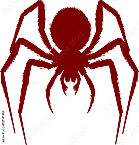 Obraz Haarige Spinne