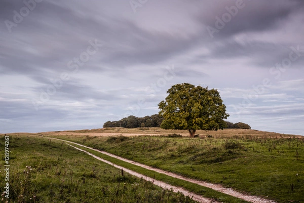 Obraz Badbury Rings in Dorset.