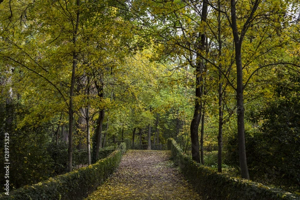 Fototapeta Parque de El Retiro, Madrid, España