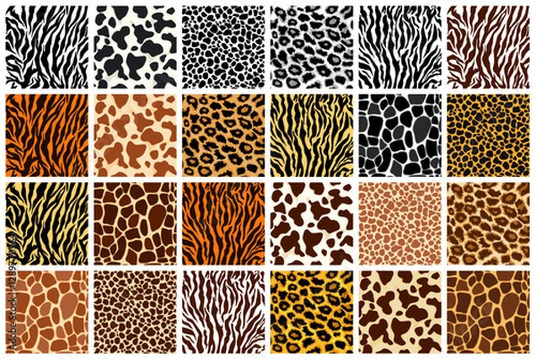 Fototapeta WebAnimal skin seamless pattern set. Mammals Fur. Collection of print skins. Cheetah, Giraffe, Tiger, Zebra, Leopard, Jaguar, cow. Printable Background. Vector illustration.