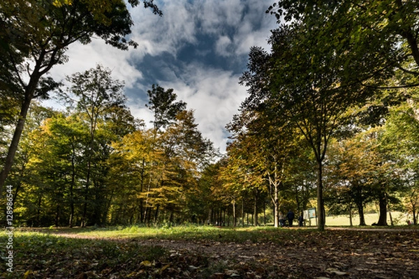 Fototapeta Herbstlandschaft