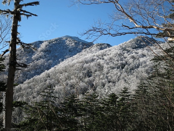 Obraz 雪化粧した山々