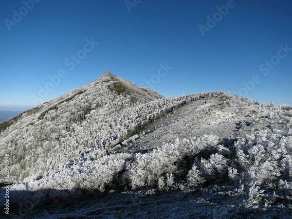 Obraz 雪化粧した山々