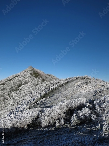 Obraz 雪化粧した山々