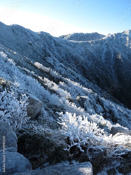 Obraz 雪化粧した山斜面