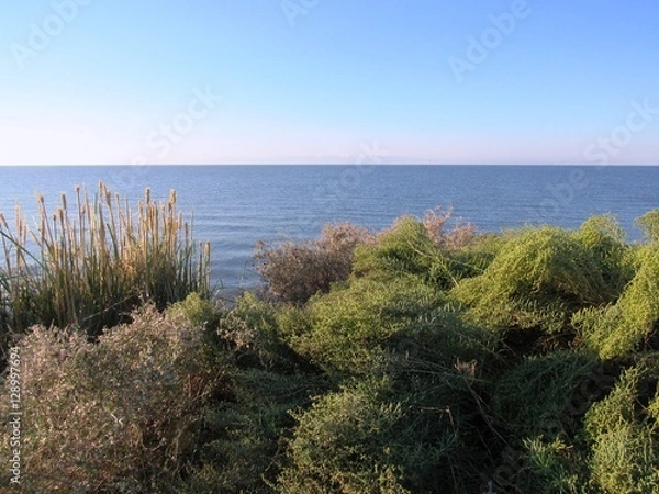 Fototapeta Водная гладь озера Зайсан.