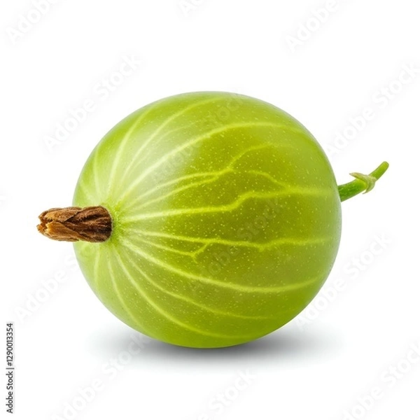Fototapeta A gooseberry, isolated on a white background.