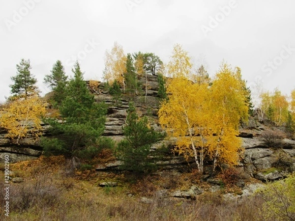 Fototapeta Краски осени.