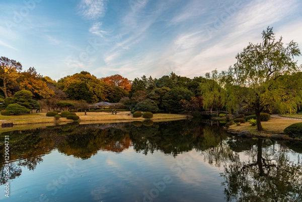 Obraz autumn afternoon