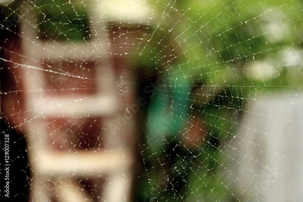 Obraz Web closeup. On the back staircase plan.