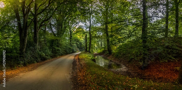 Obraz Devon landscapes