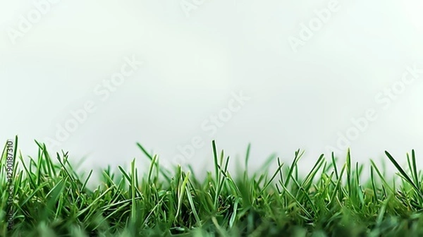 Fototapeta Closeup of Vibrant Green Grass Against a White Background