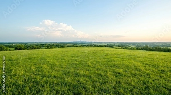 Obraz Panoramic view of grassy hilltop landscape at sunset with distant mountains. Possible use Stock photo