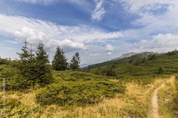 Fototapeta Mountain Landscape