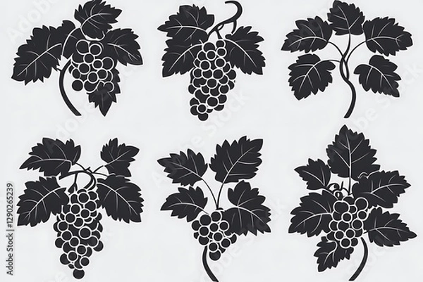 Fototapeta Silhouettes of grape clusters on vines