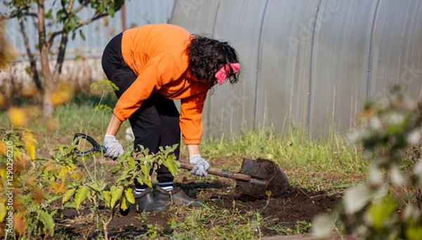 Fototapeta A woman in an orange shirt is digging a hole in the dirt