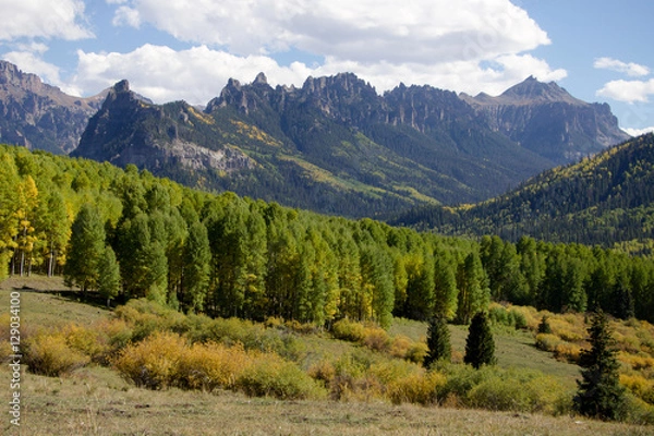 Fototapeta Colorado mountain ridge with pine trees and fall foliage