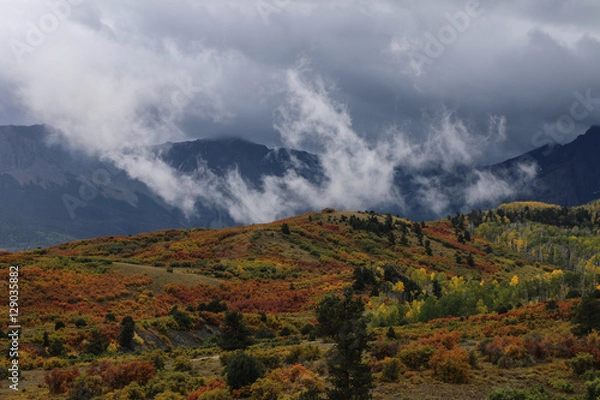 Fototapeta Wispy cloud over Colorado fall aspens