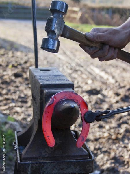 Fototapeta Farrier