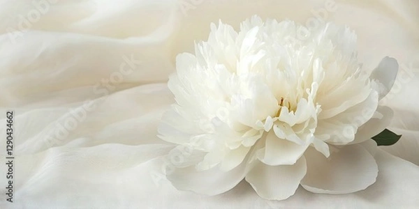 Obraz Elegant white peony flower resting on soft cream fabric backdrop creating a serene area ideal for elegant writing and delicate compositions