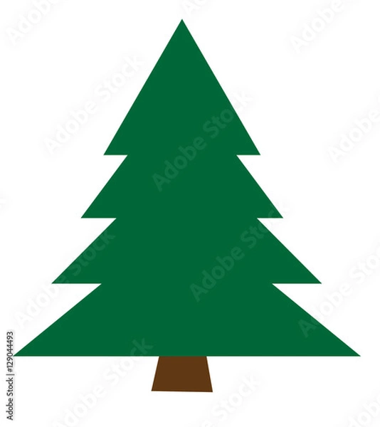 Obraz Fir Tree